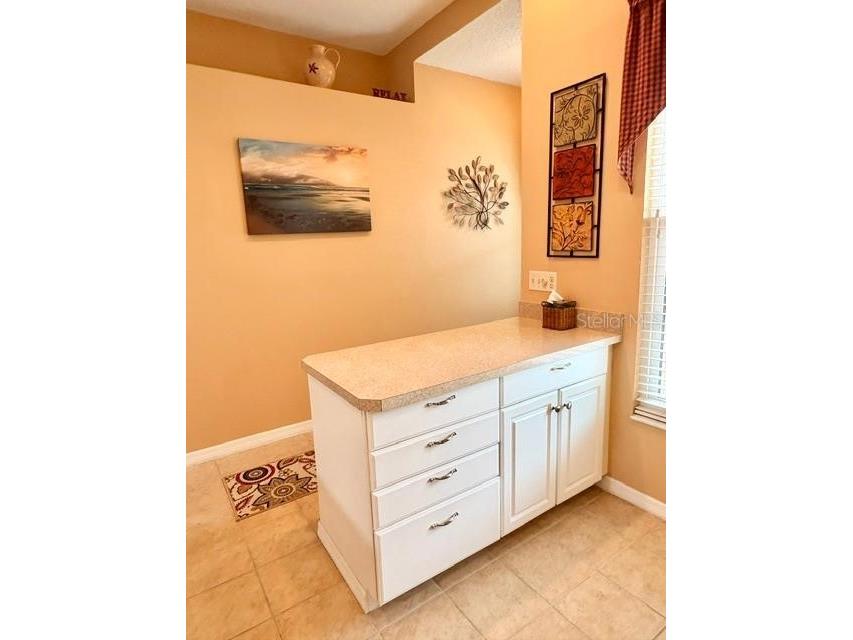 311 Kelsey Way #3 Sun City Center FL 33573 TB8510750 image10