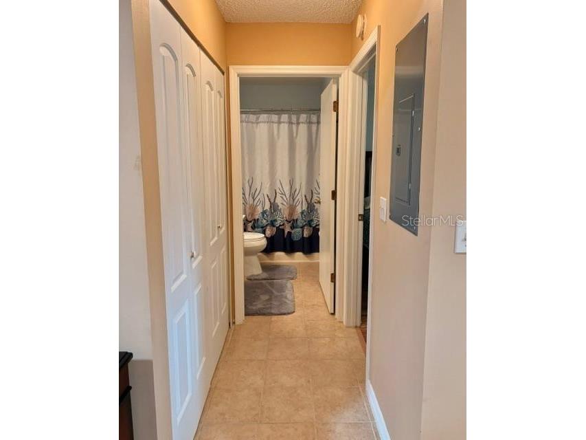 311 Kelsey Way #3 Sun City Center FL 33573 TB8510750 image28