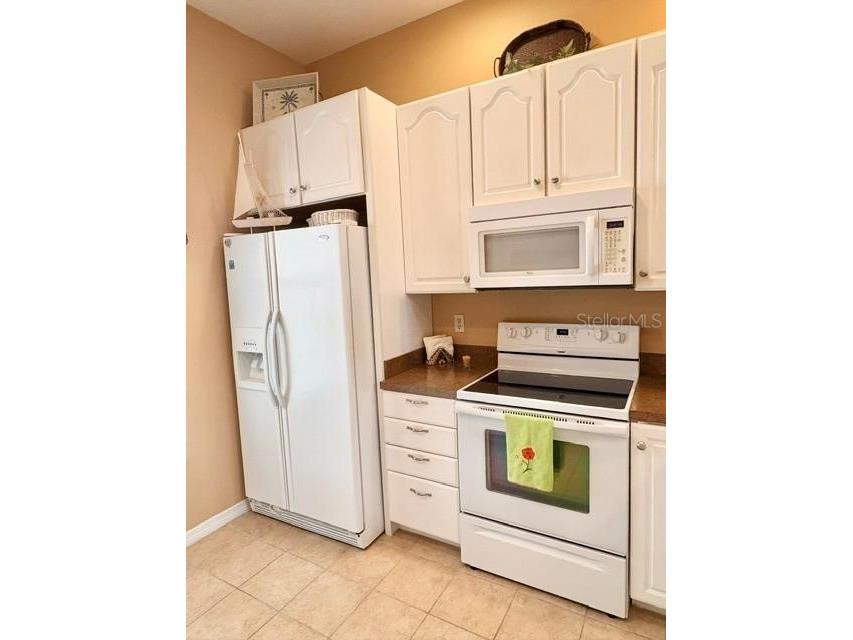 311 Kelsey Way #3 Sun City Center FL 33573 TB8510750 image9
