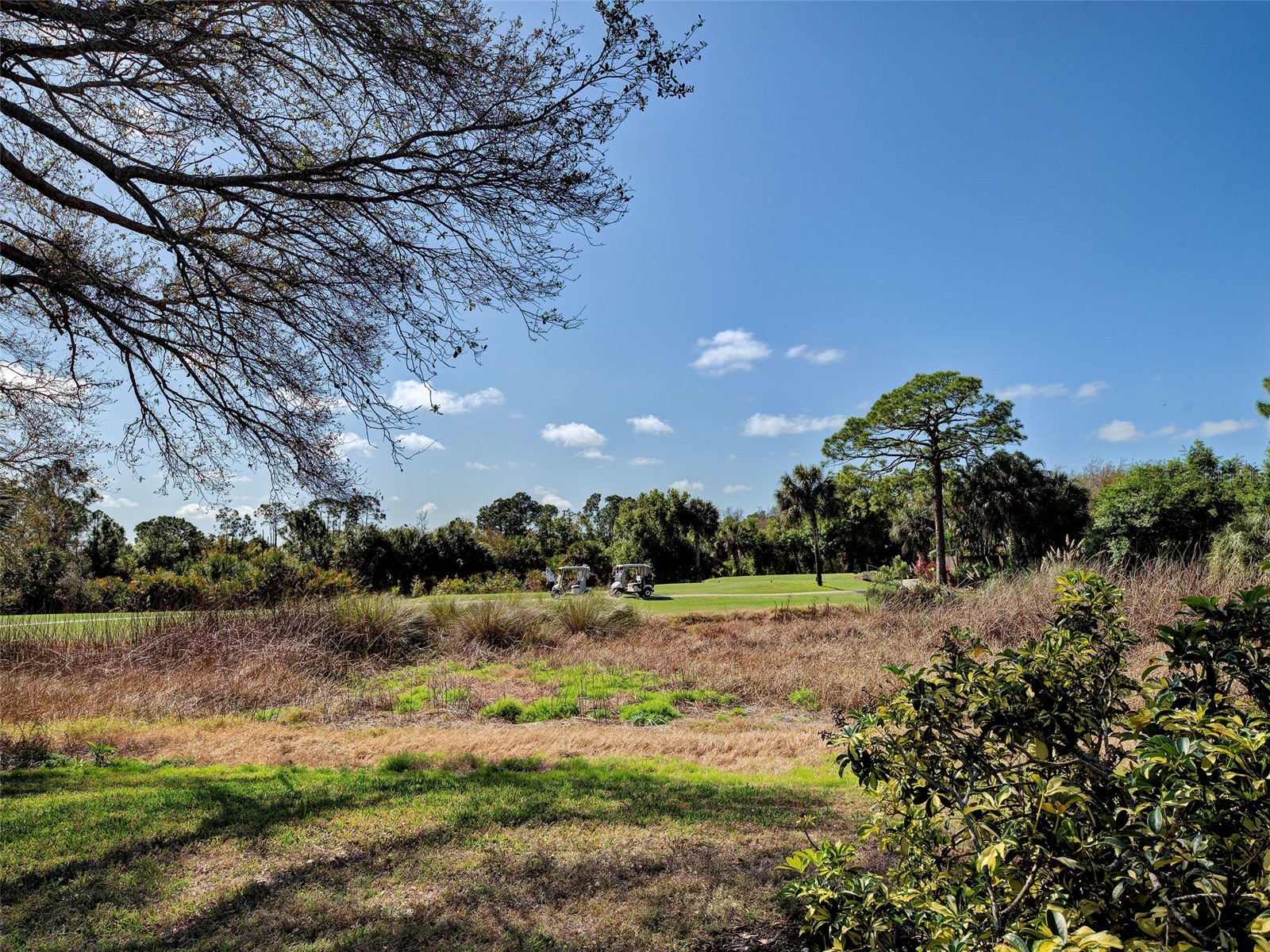 311 Lansbrook Drive Venice FL 34292 N6143177 image50