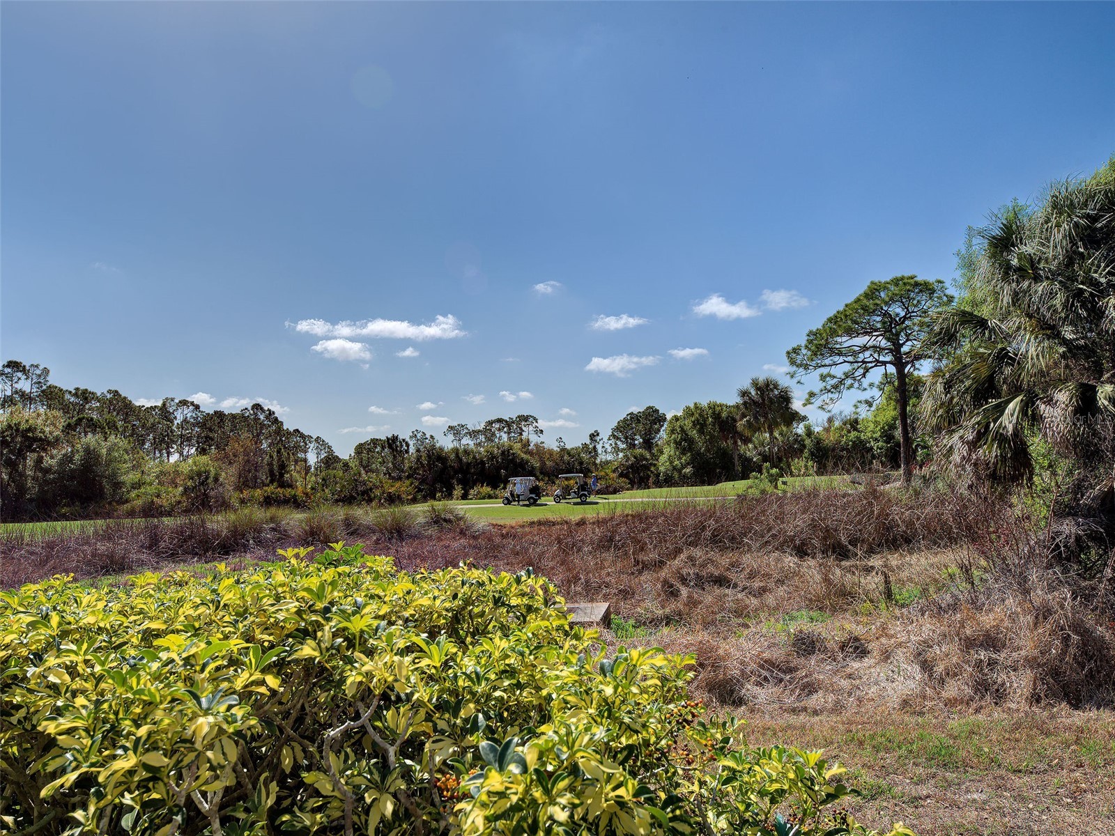 311 Lansbrook Drive Venice FL 34292 N6143177 image53