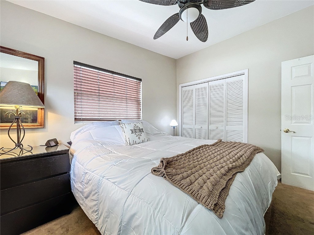 311 Morningside Drive Palm Harbor FL 34683 W7881475 image25