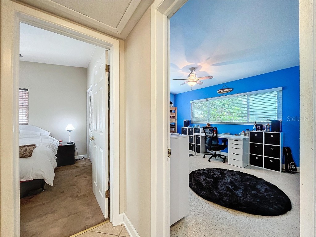 311 Morningside Drive Palm Harbor FL 34683 W7881475 image27