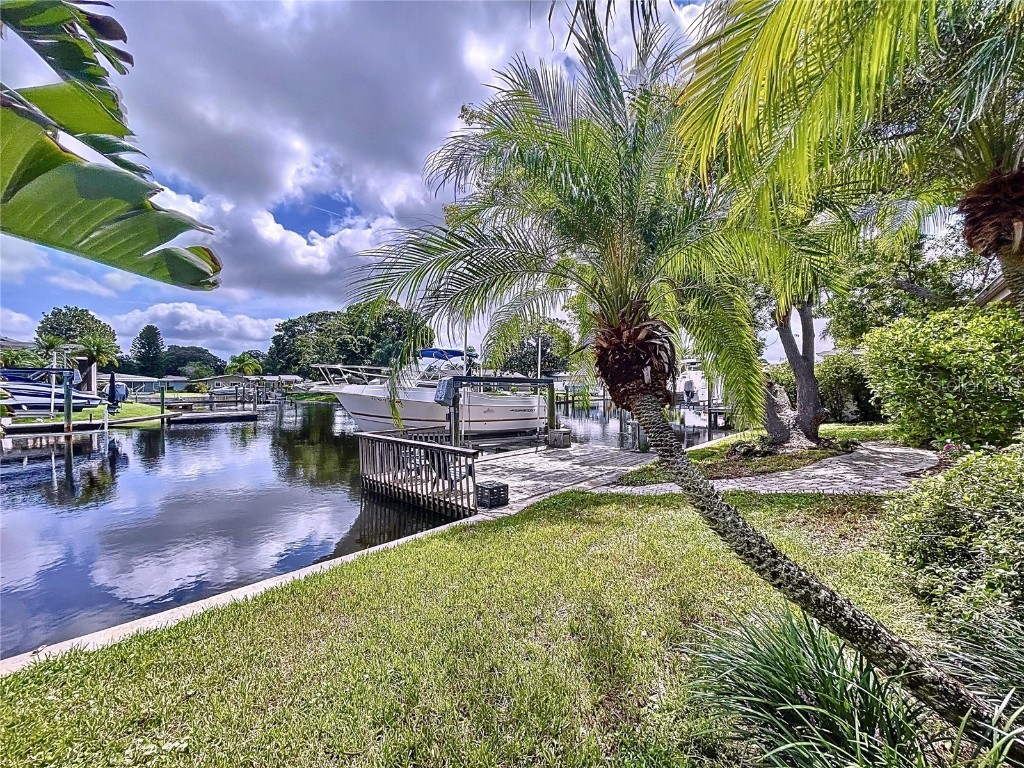 311 Morningside Drive Palm Harbor FL 34683 W7881475 image41