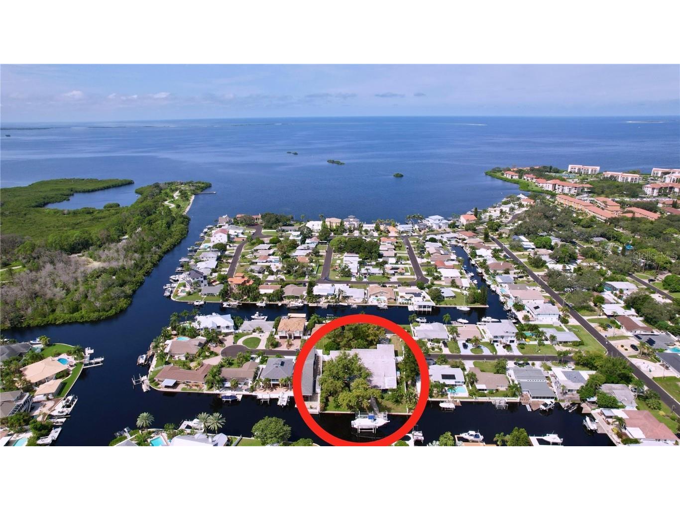 311 Morningside Drive Palm Harbor FL 34683 W7881475 image44