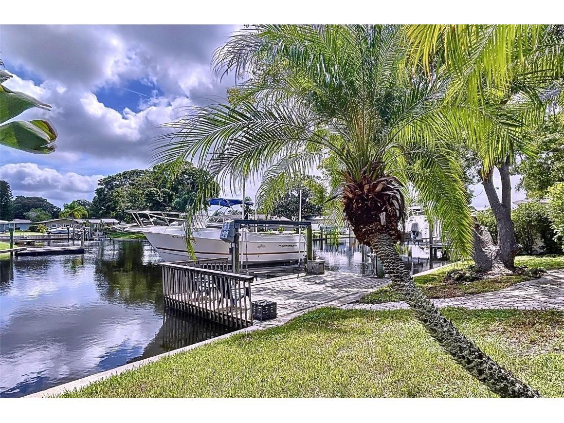 311 Morningside Drive Palm Harbor FL 34683 W7881475 image6