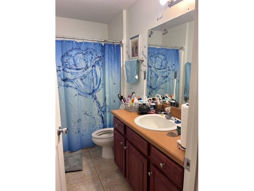 311 Morningview Drive Eustis FL 32726 O6364918 image8