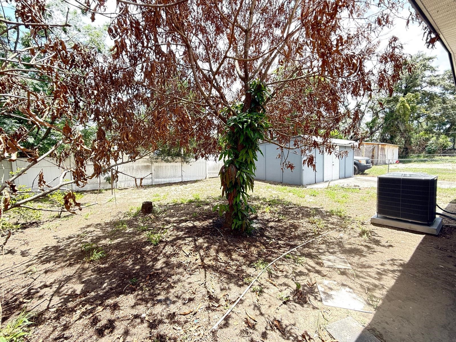 311 N Lancelot Avenue Orlando FL 32835 O6413868 image13