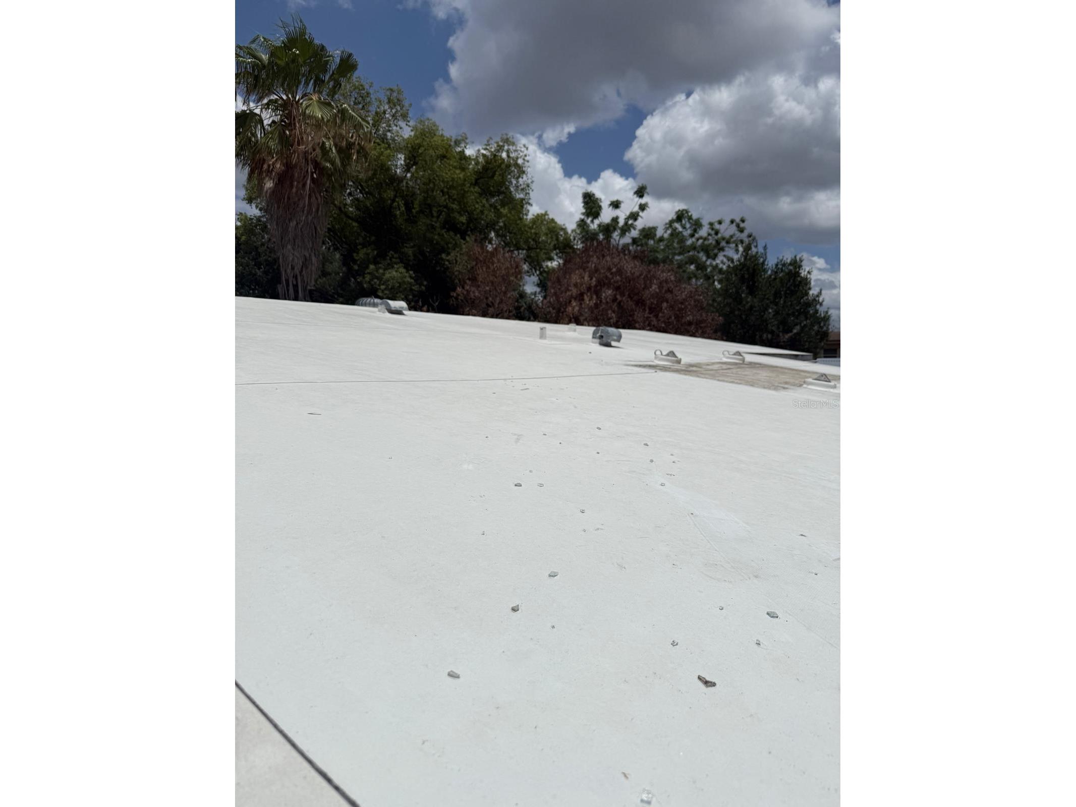 311 N Lancelot Avenue Orlando FL 32835 O6413868 image16