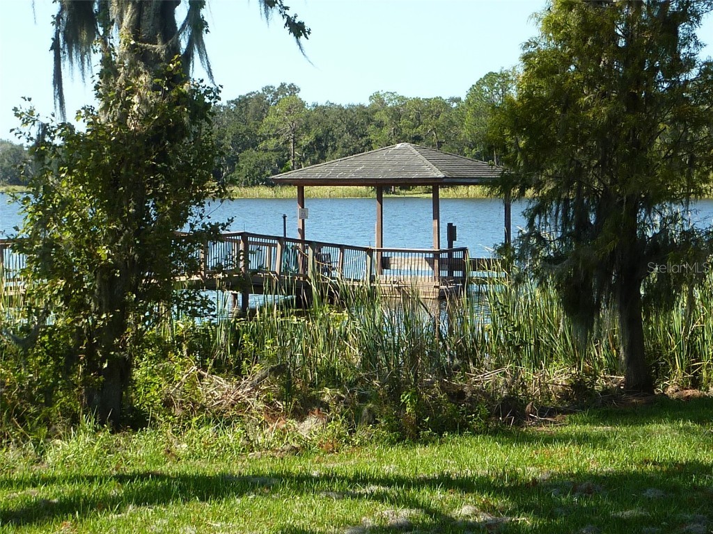 311 Nolane Lane Polk City FL 33868 - CLEARWATER LAKE MUD LAKE P4932481 image13