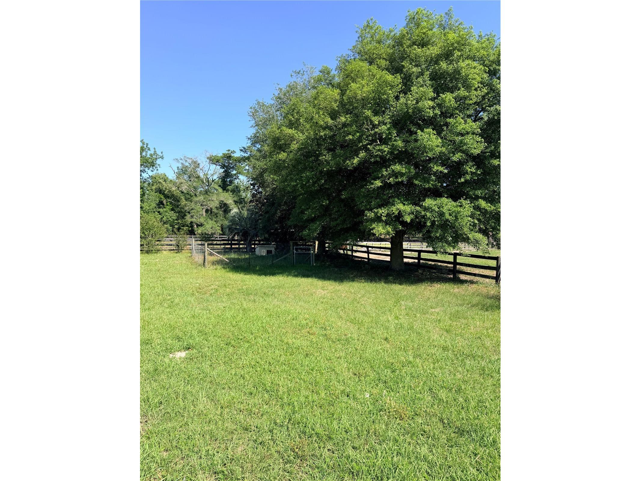 311 NW 106th Avenue Ocala FL 34482 OM723339 image16