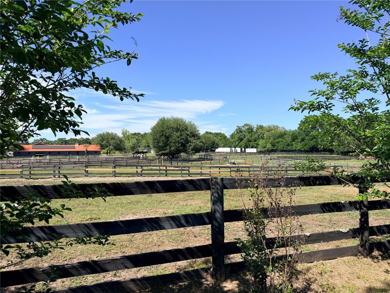 311 NW 106th Avenue Ocala FL 34482 OM723339 image25