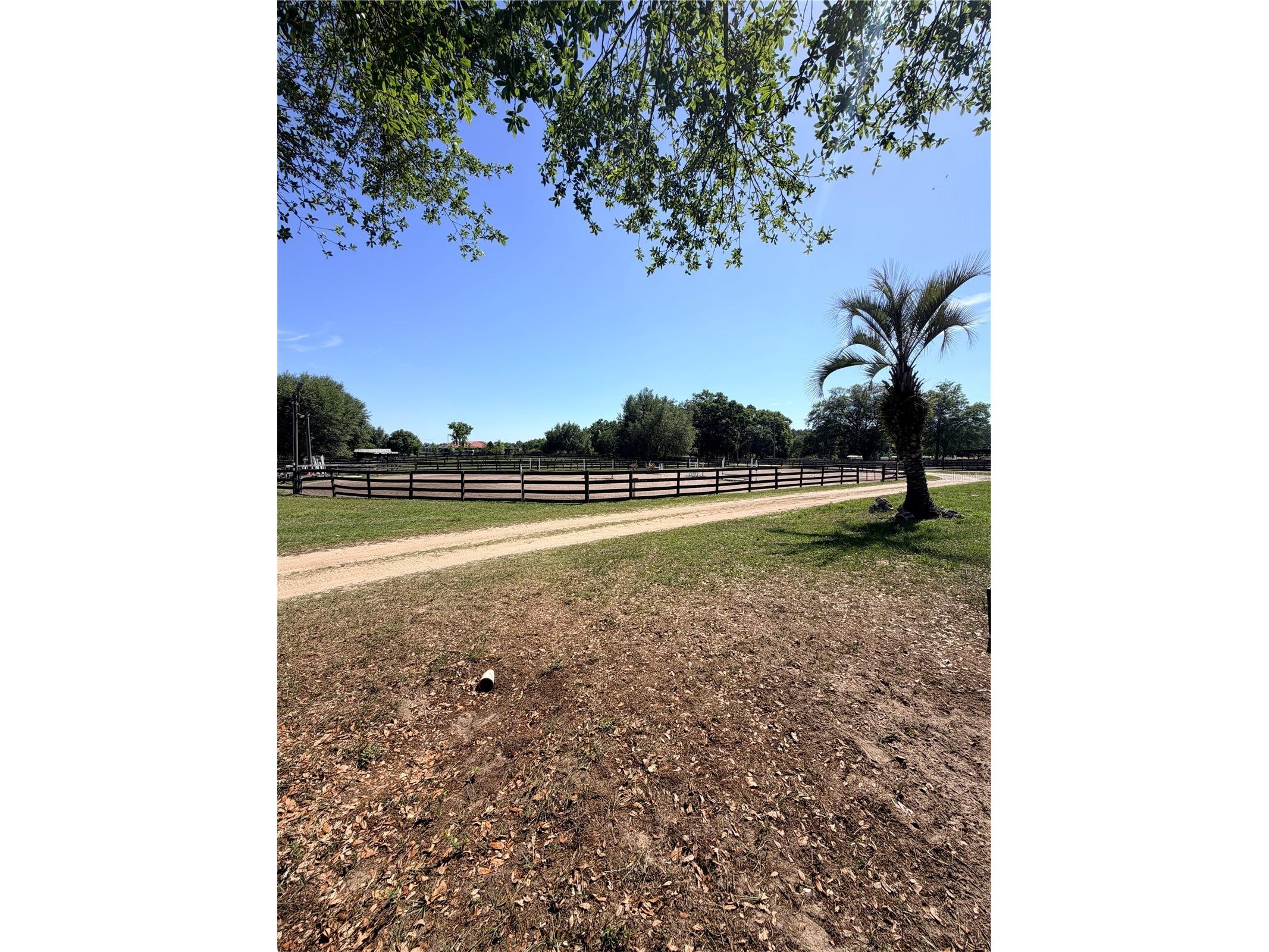 311 NW 106th Avenue Ocala FL 34482 OM723339 image8