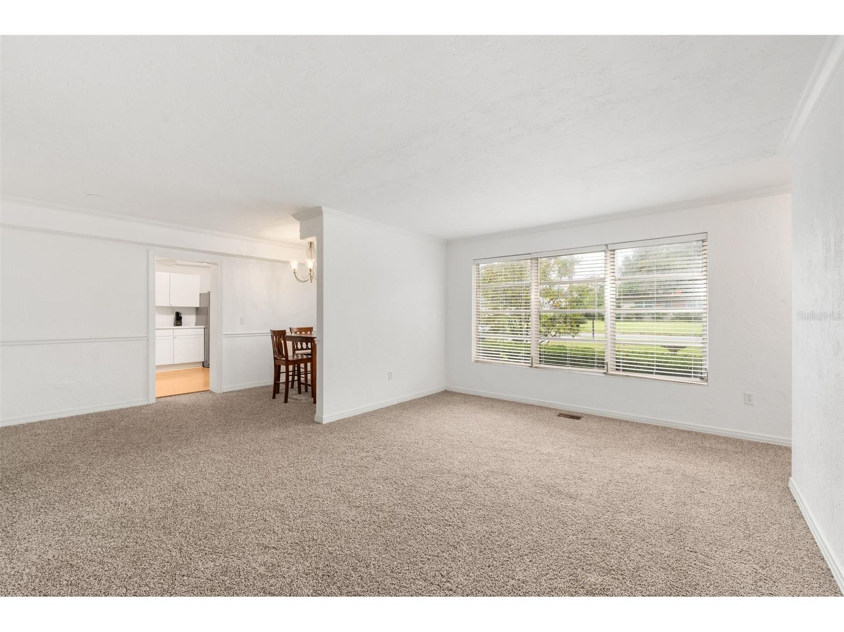 311 NW 8th Street Williston FL 32696 GC537450 image12