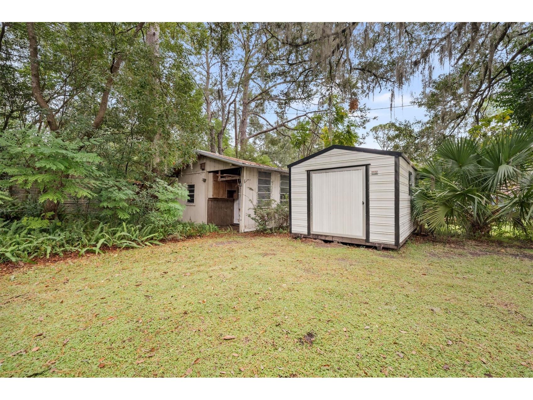 311 NW 8th Street Williston FL 32696 GC537450 image23