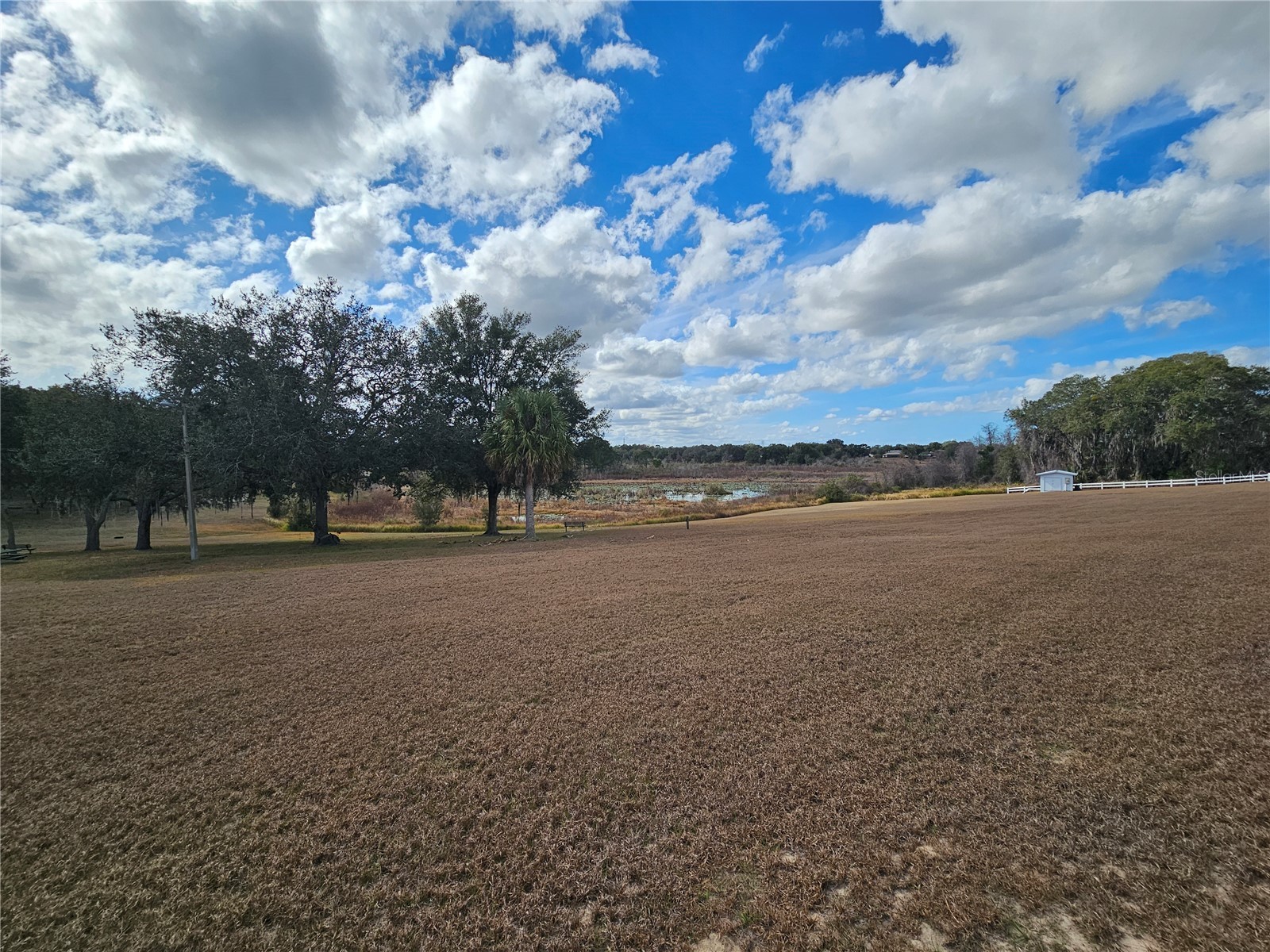 311 Oak Lane Drive Ocala FL 34472 OM713719 image18