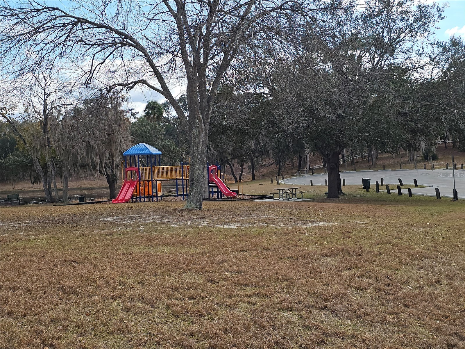 311 Oak Lane Drive Ocala FL 34472 OM713719 image21
