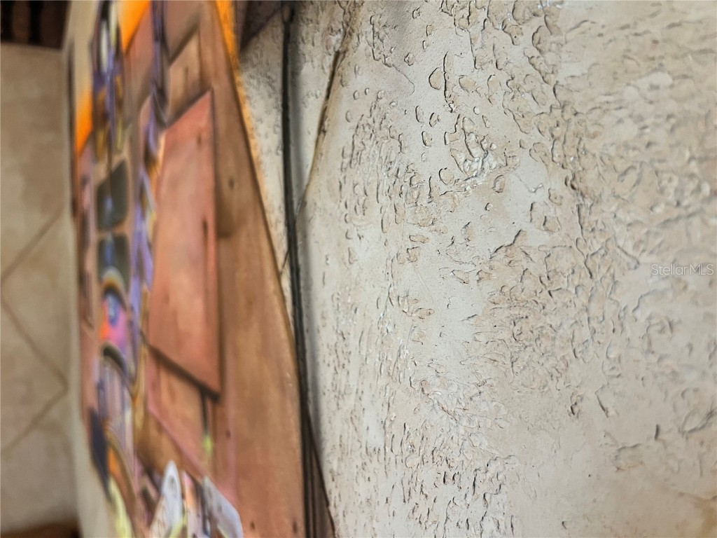 311 Pendant Court Kissimmee FL 34747 O6318931 image35