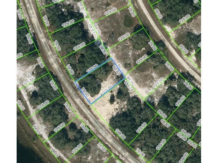 311 Rhythm Drive Lake Placid FL 33852 OM621788 image2