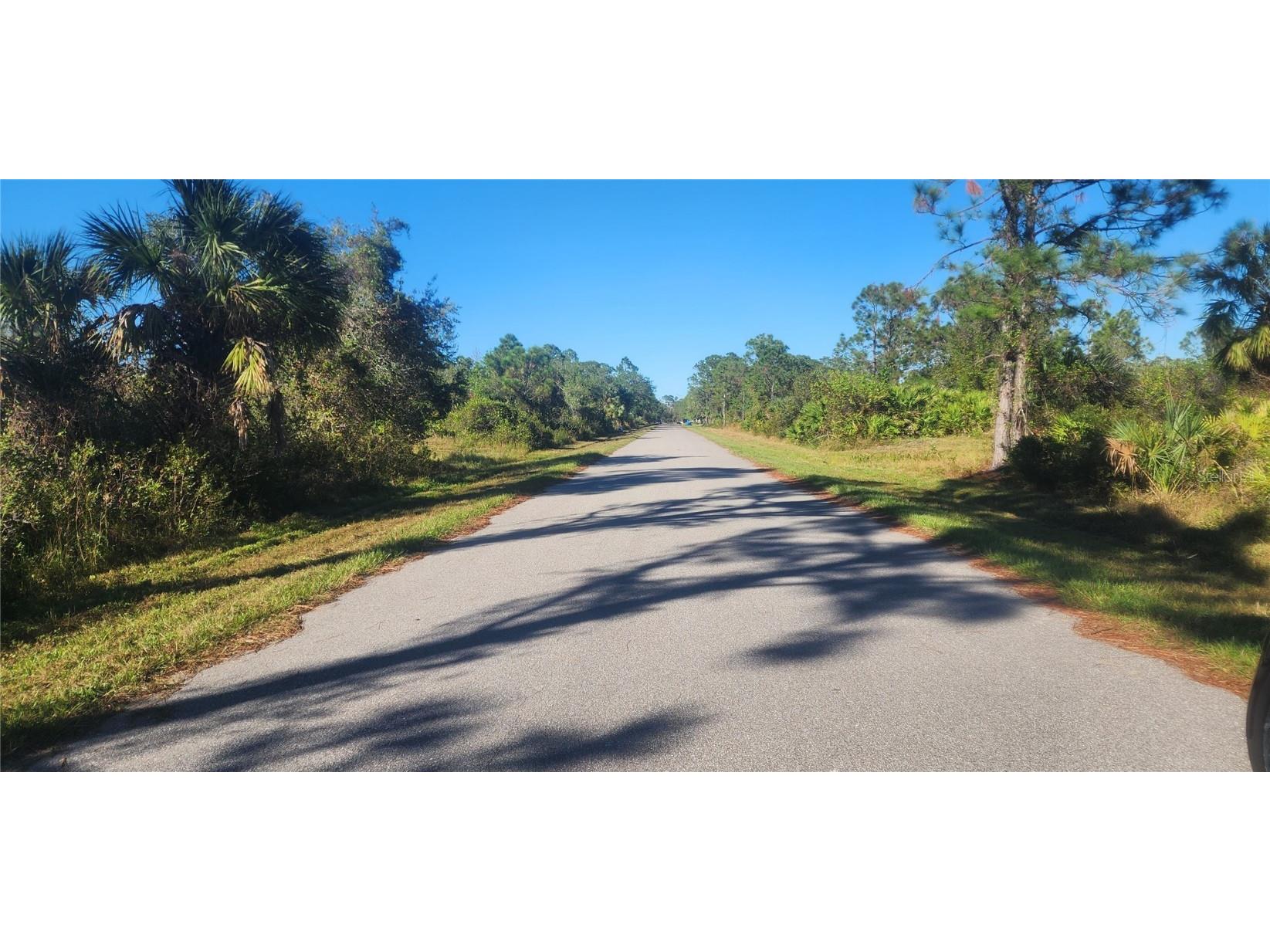 311 Spaulding Street Port Charlotte FL 33953 D6139182 image4