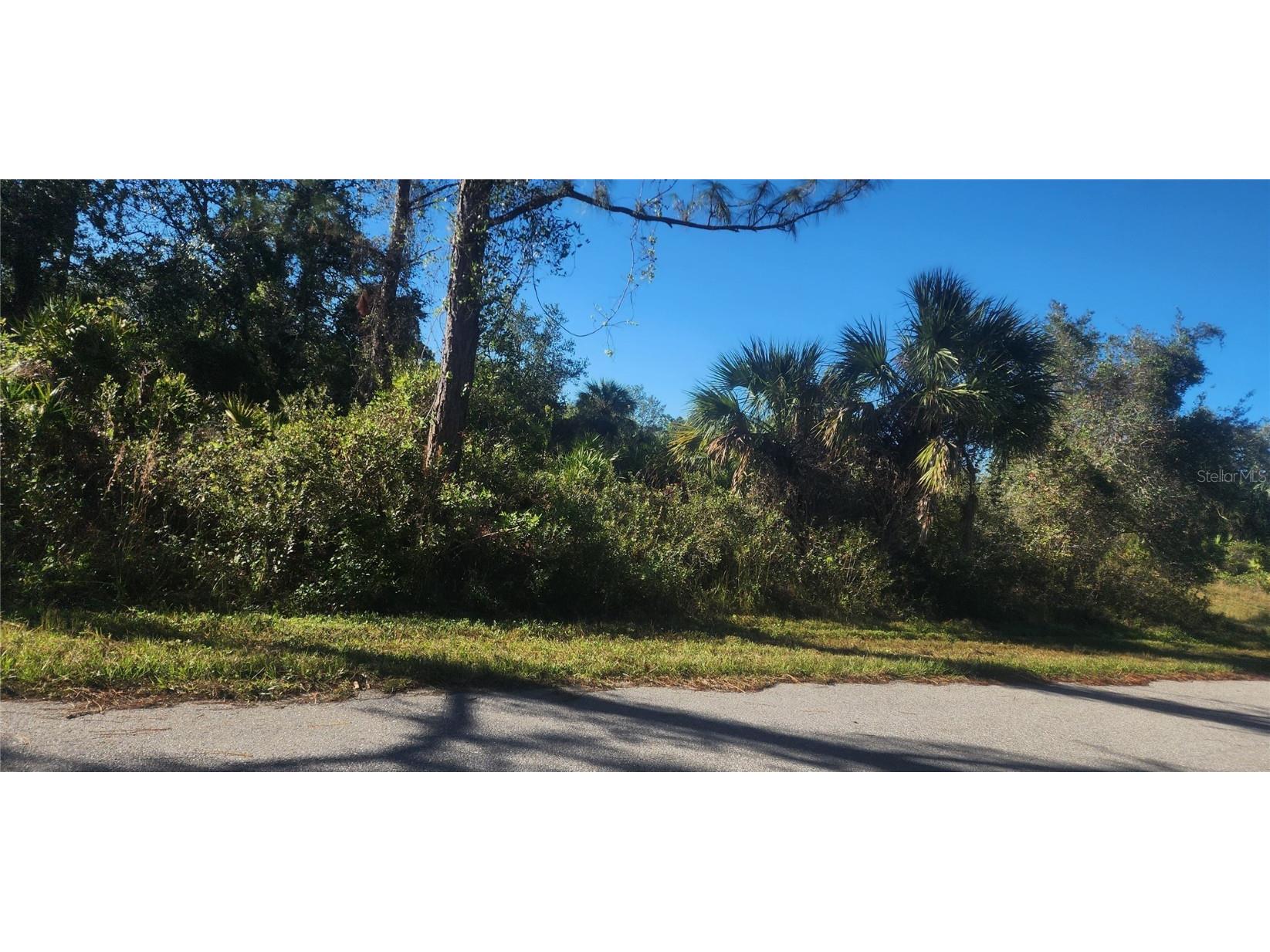 311 Spaulding Street Port Charlotte FL 33953 D6139182 image6