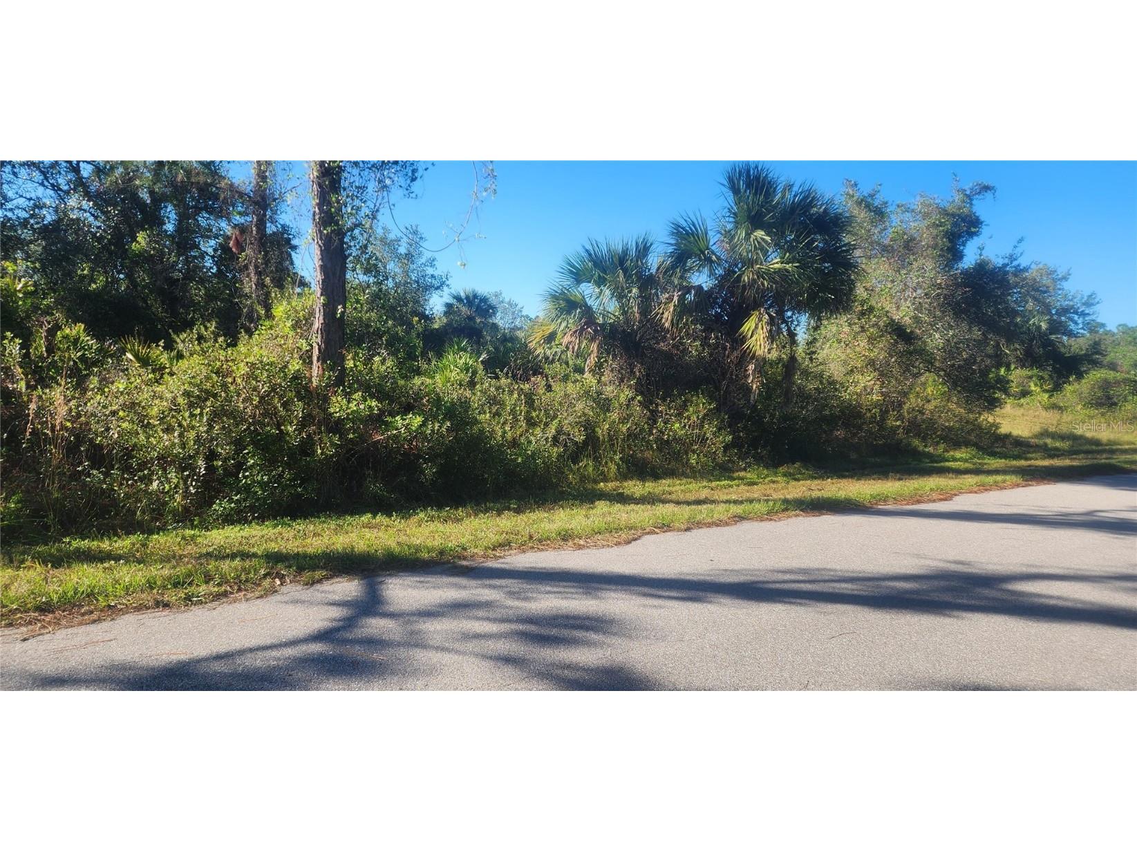 311 Spaulding Street Port Charlotte FL 33953 D6139182 image9