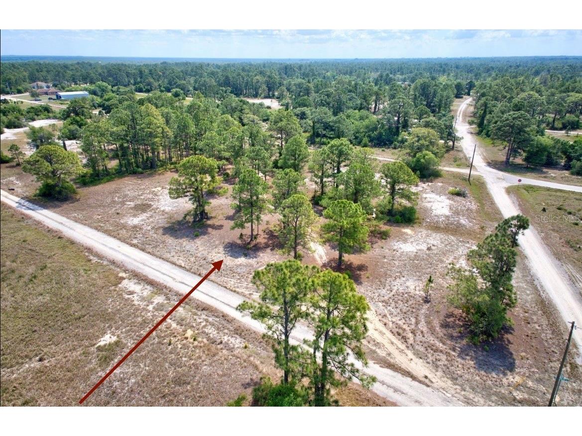 311 Sweetheart Avenue Lake Placid FL 33852 O6292627 image1