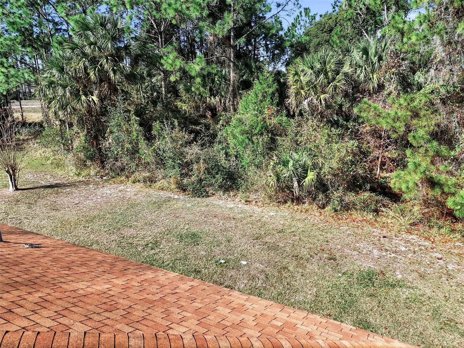 311 Underwood Trail Palm Coast FL 32164 FC315342 image58