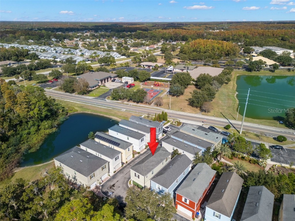 311 Vista Cruiser Lane Oldsmar FL 34677 TB8450597 image37