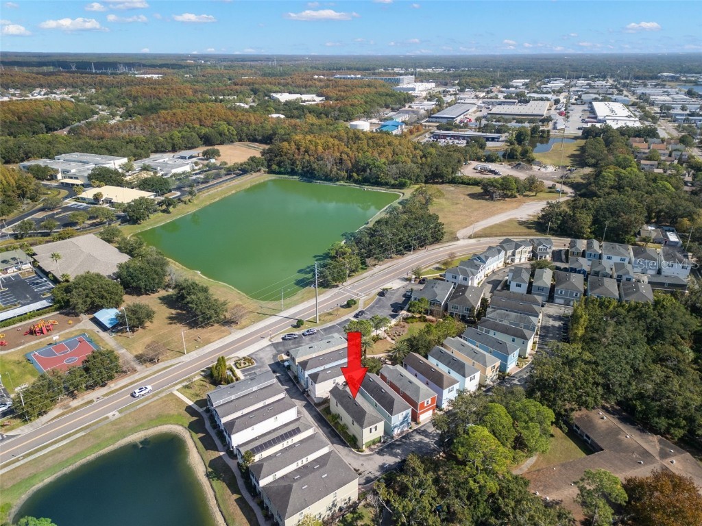 311 Vista Cruiser Lane Oldsmar FL 34677 TB8450597 image39