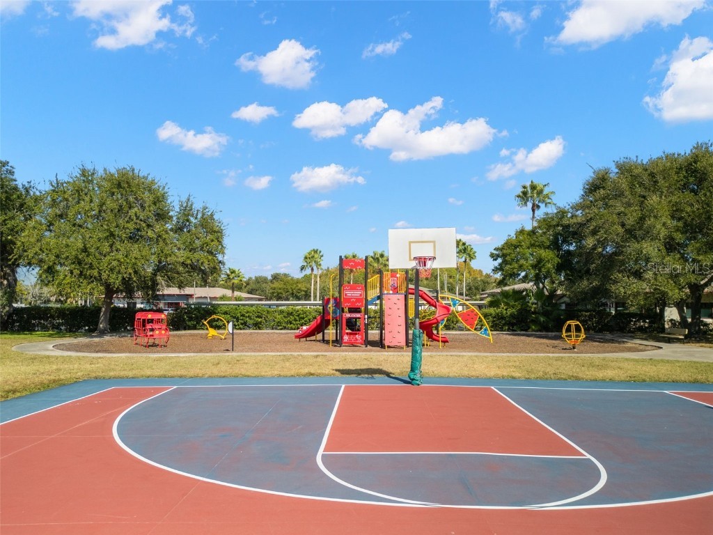 311 Vista Cruiser Lane Oldsmar FL 34677 TB8450597 image41