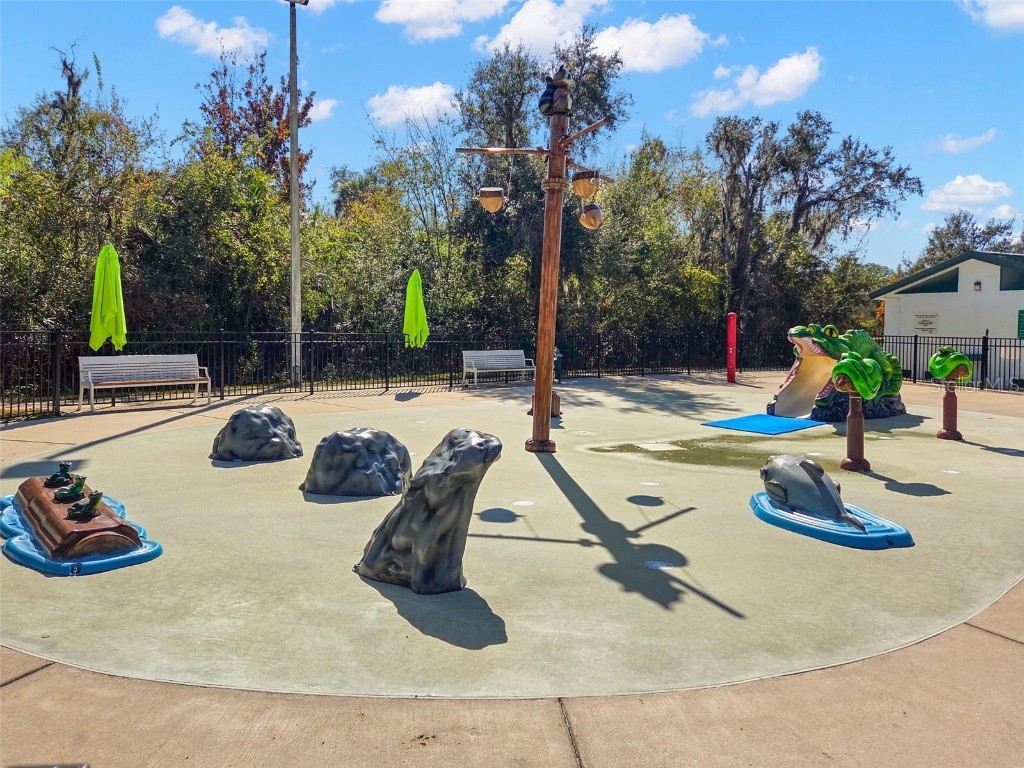 311 Vista Cruiser Lane Oldsmar FL 34677 TB8450597 image43