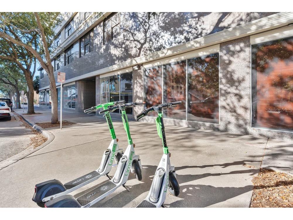 311 W Ashley Street #301 Jacksonville FL 32202 V4946021 image2