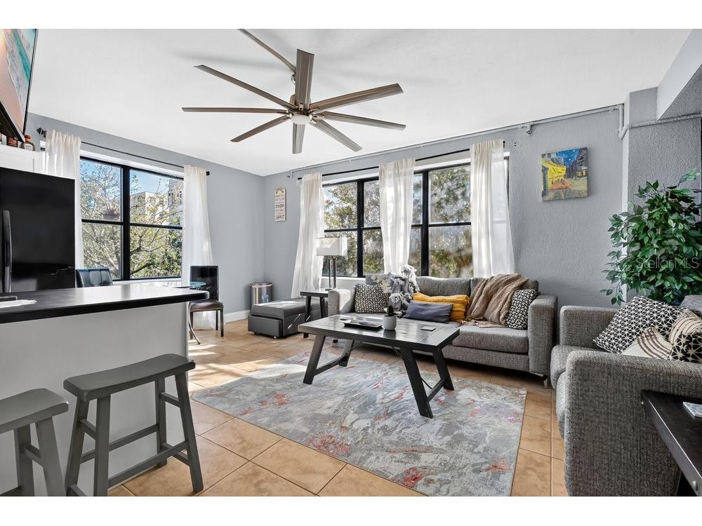 311 W Ashley Street #301 Jacksonville FL 32202 V4946021 image3