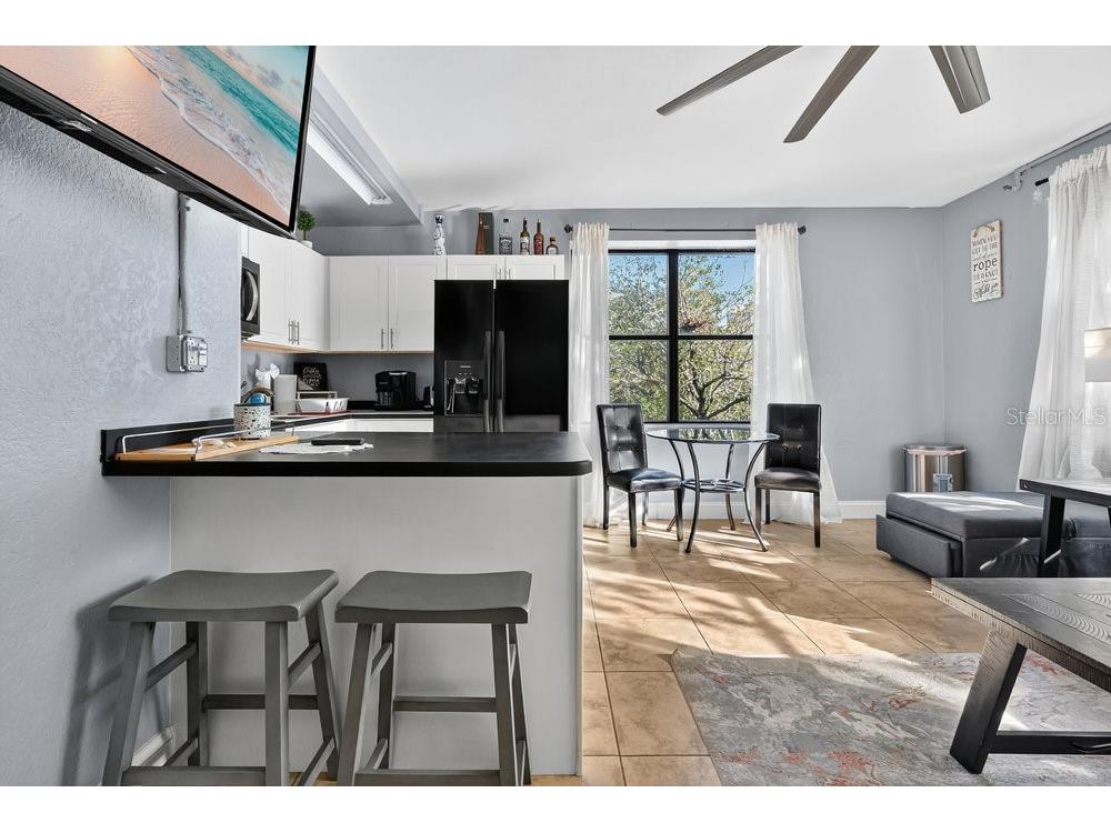 311 W Ashley Street #301 Jacksonville FL 32202 V4946021 image5