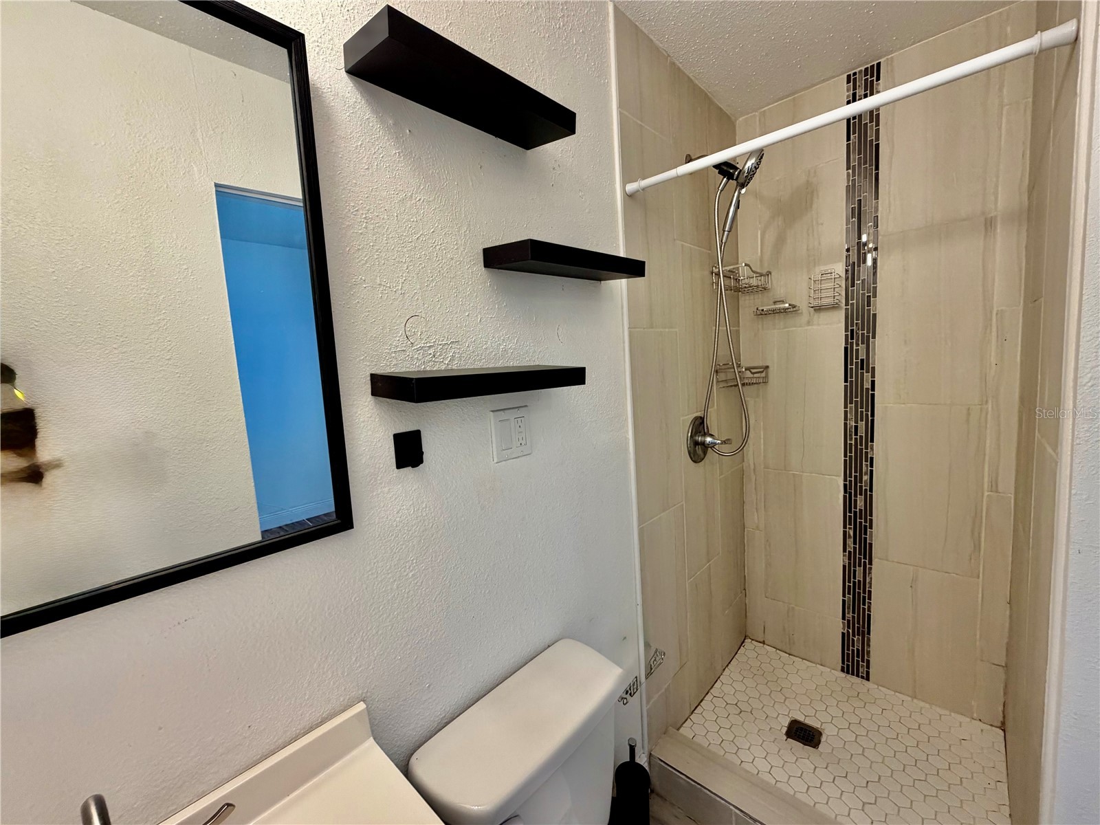 311 W Bella Vista Street Lakeland FL 33805 TB8523694 image39