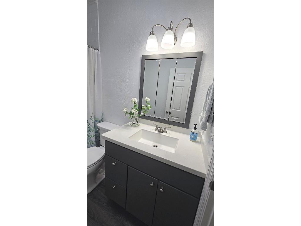 311 W Lewis Avenue Apopka FL 32712 O6355530 image27