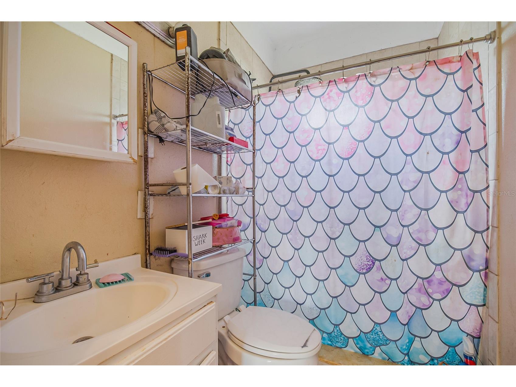 311 W Pearce Avenue Eagle Lake FL 33839 O6390985 image22