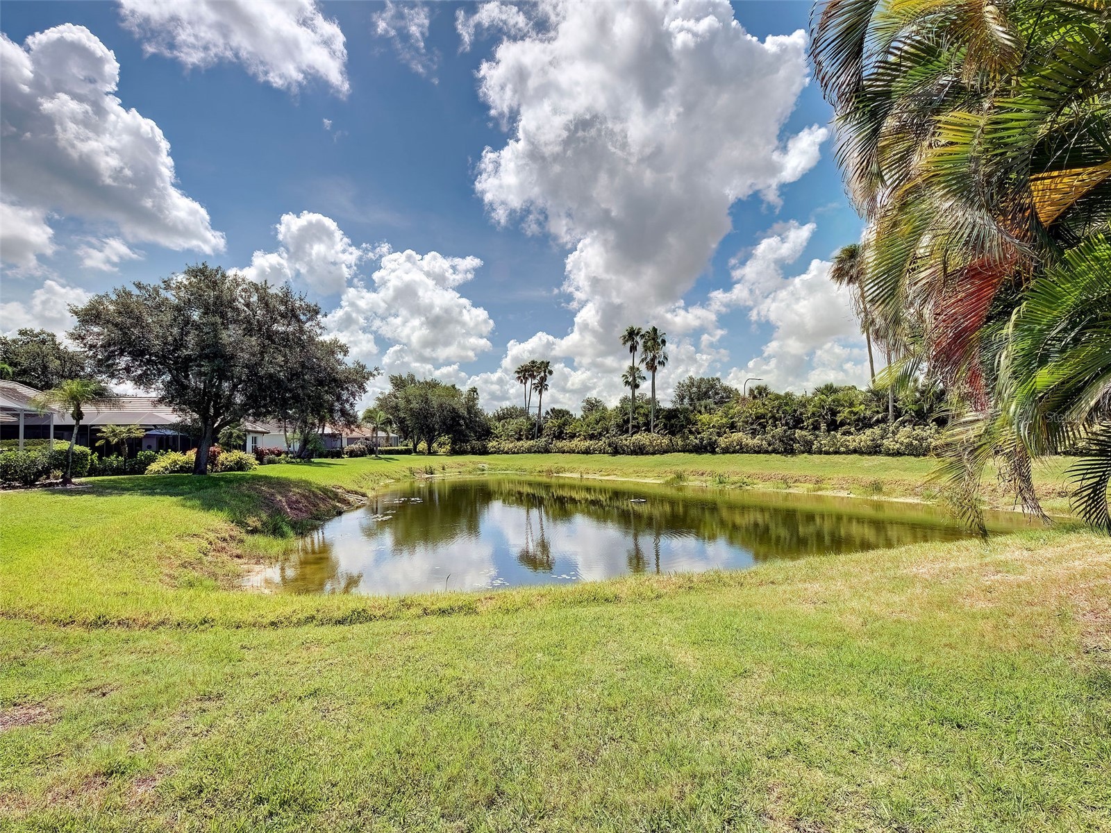 311 Wild Pine Way Venice FL 34292 N6144613 image58