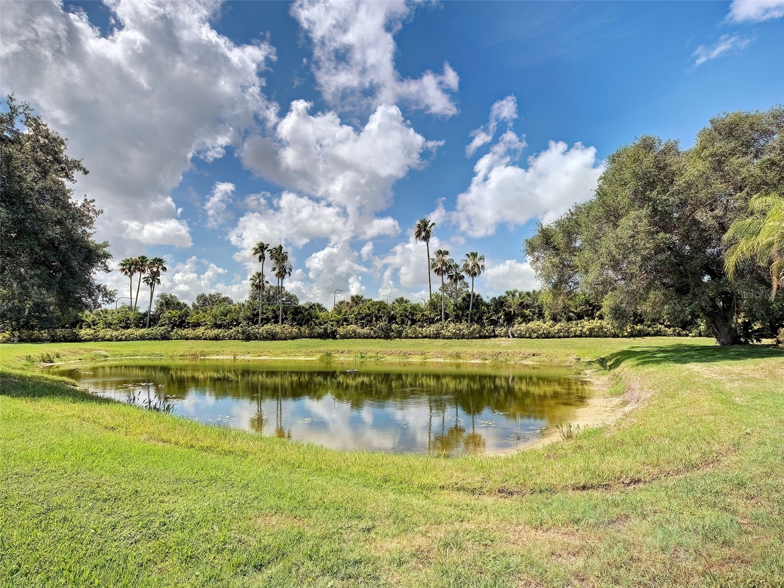 311 Wild Pine Way Venice FL 34292 N6144613 image59