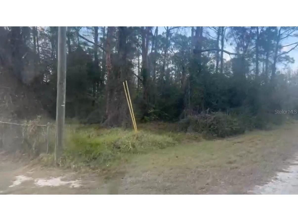 311 Wilson Lane NE Lake Placid FL 33852 TB8494631 image1