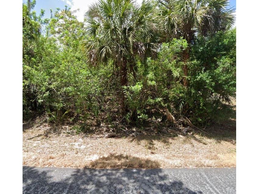 311 Yule Street Port Charlotte FL 33953 T3469247 image1