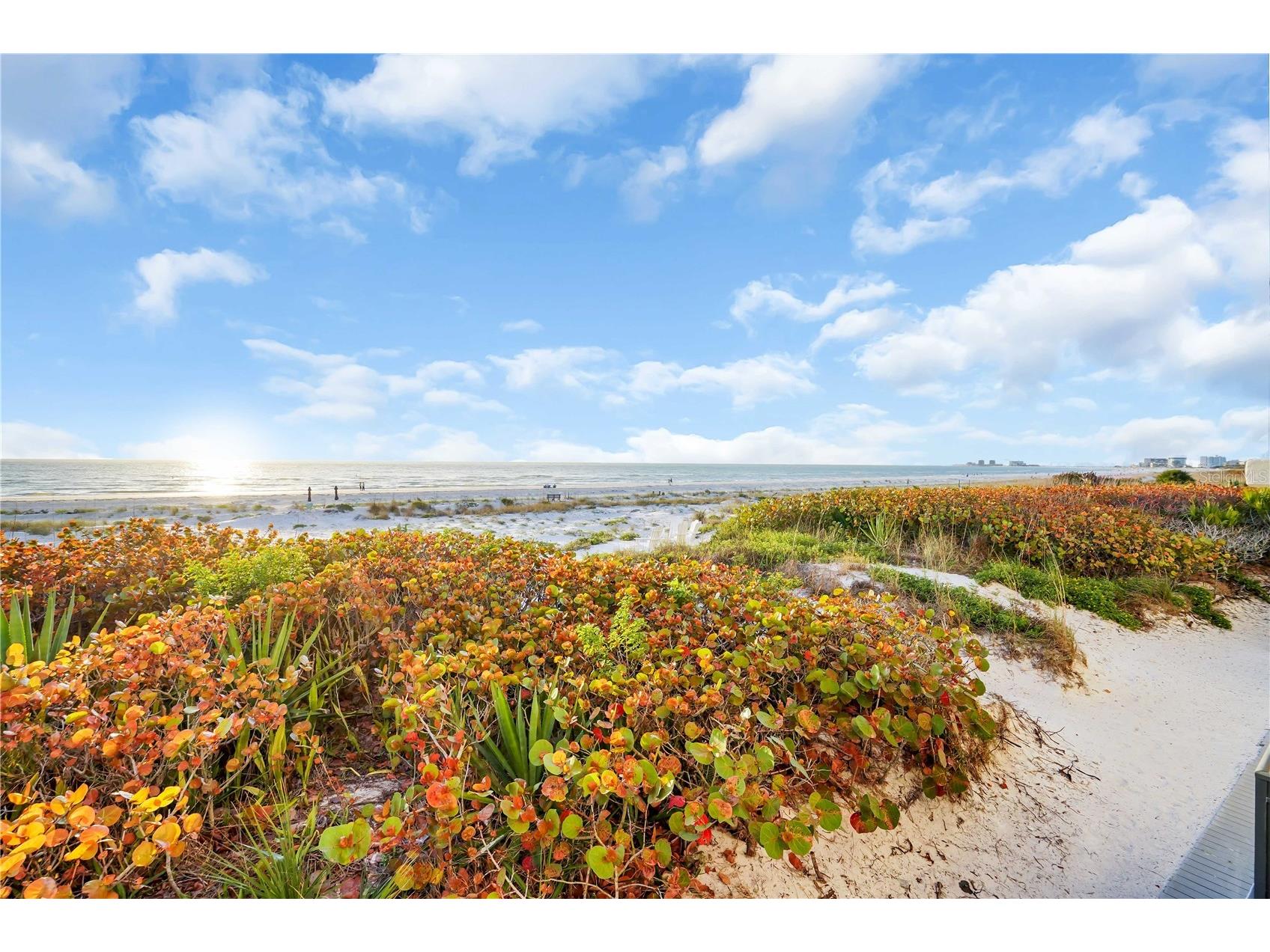3110 1st Street W #101 Saint Pete Beach FL 33706 - GULF OF MEXICO TB8489687 image31
