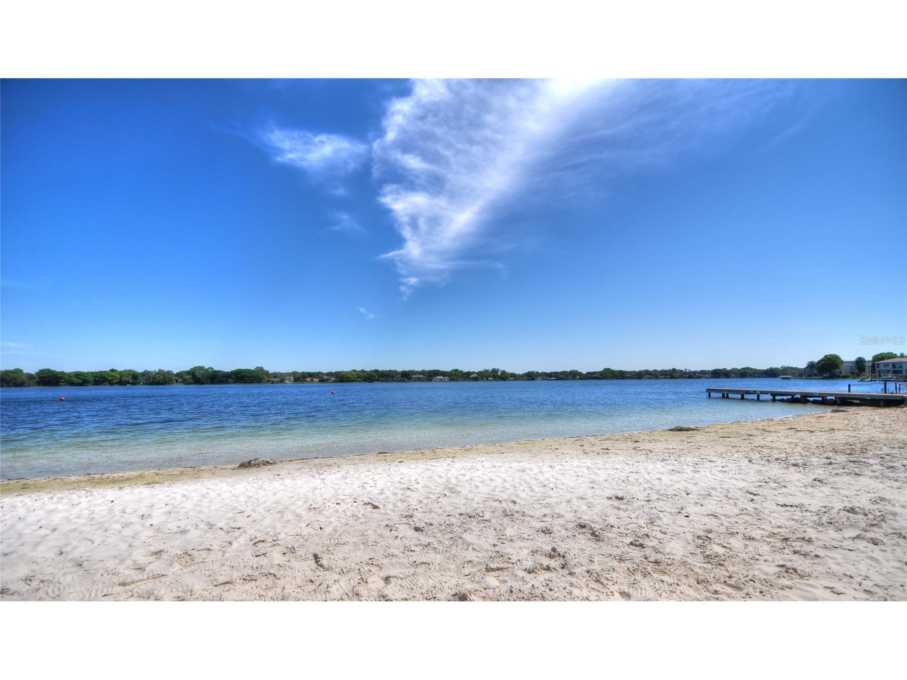 3110 Belmore Road Tampa FL 33618 TB8529409 image60