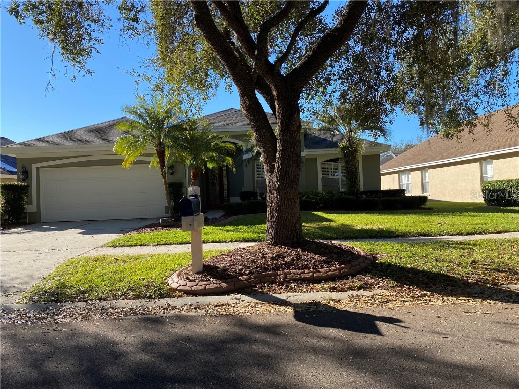 3110 Bent Creek Drive Valrico FL 33596 J941652 image1