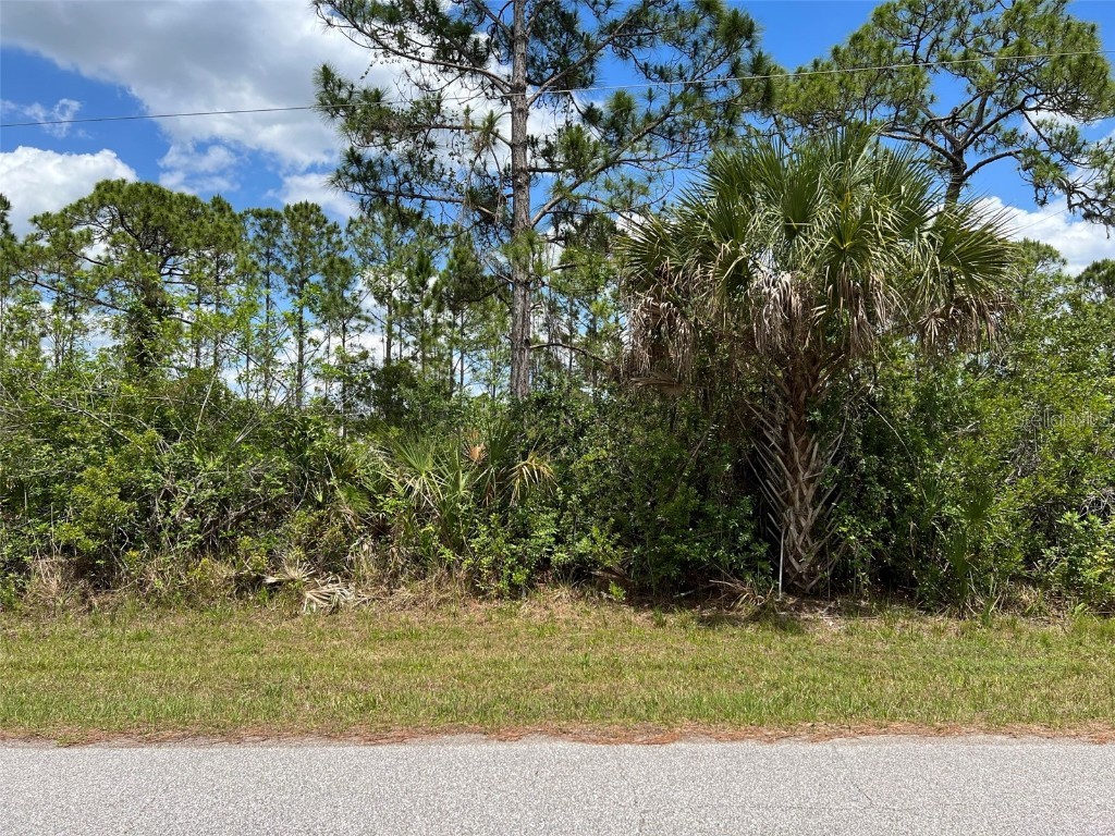 3110 Callisto Street Port Charlotte FL 33981 C7460447 image1