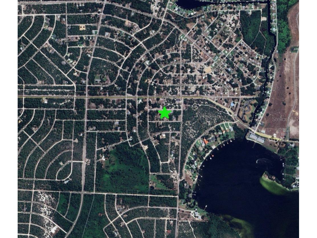 3110 Concord Avenue Lake Placid FL 33852 O6413961 image3