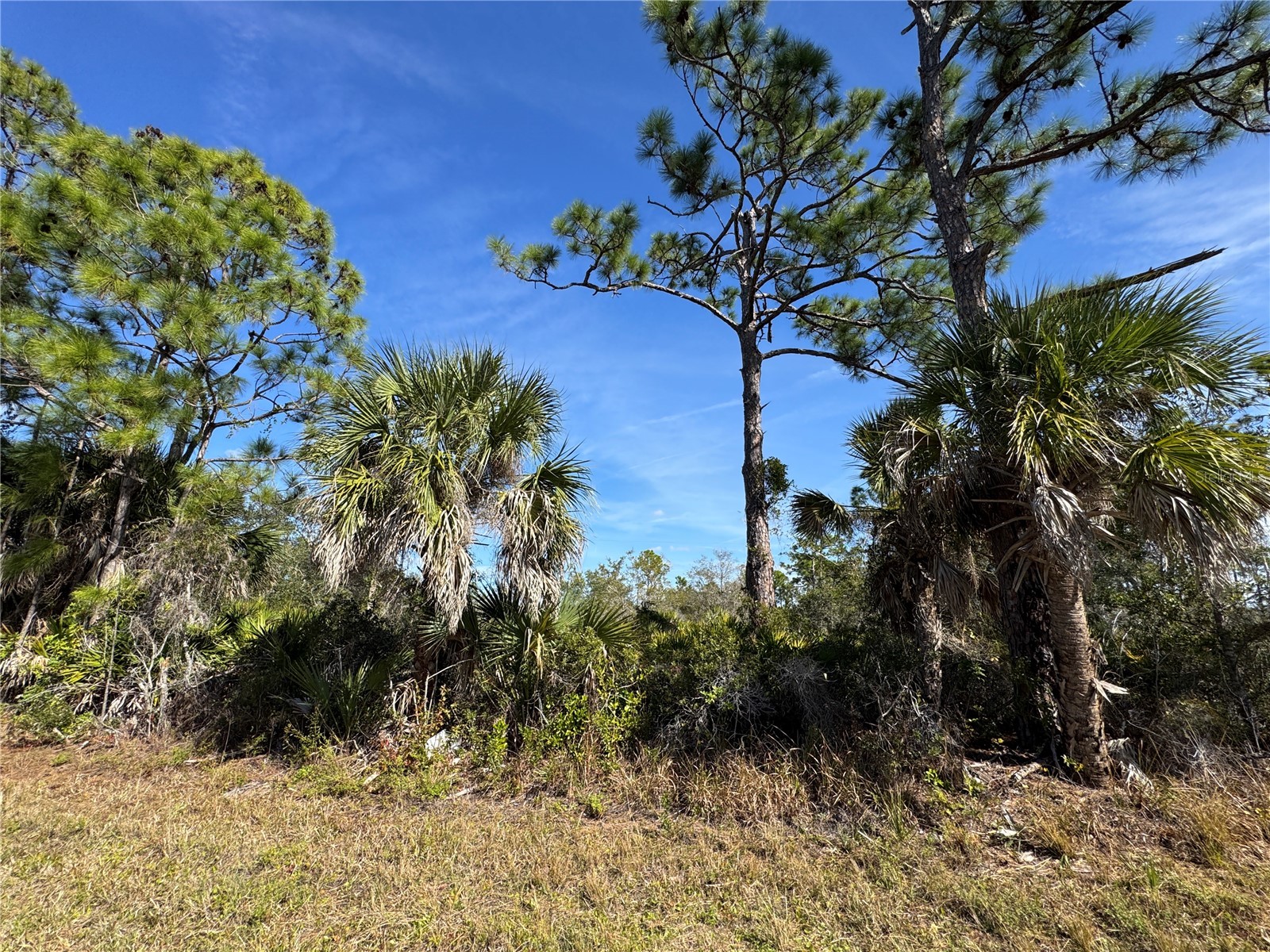3110 Gillot Boulevard Port Charlotte FL 33981 TB8466575 image2