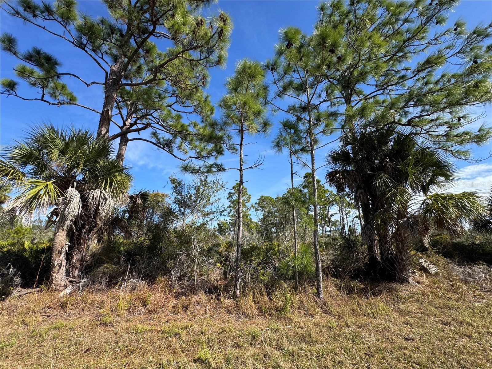 3110 Gillot Boulevard Port Charlotte FL 33981 TB8466575 image3