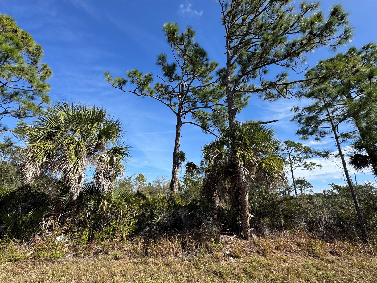 3110 Gillot Boulevard Port Charlotte FL 33981 TB8466575 image4